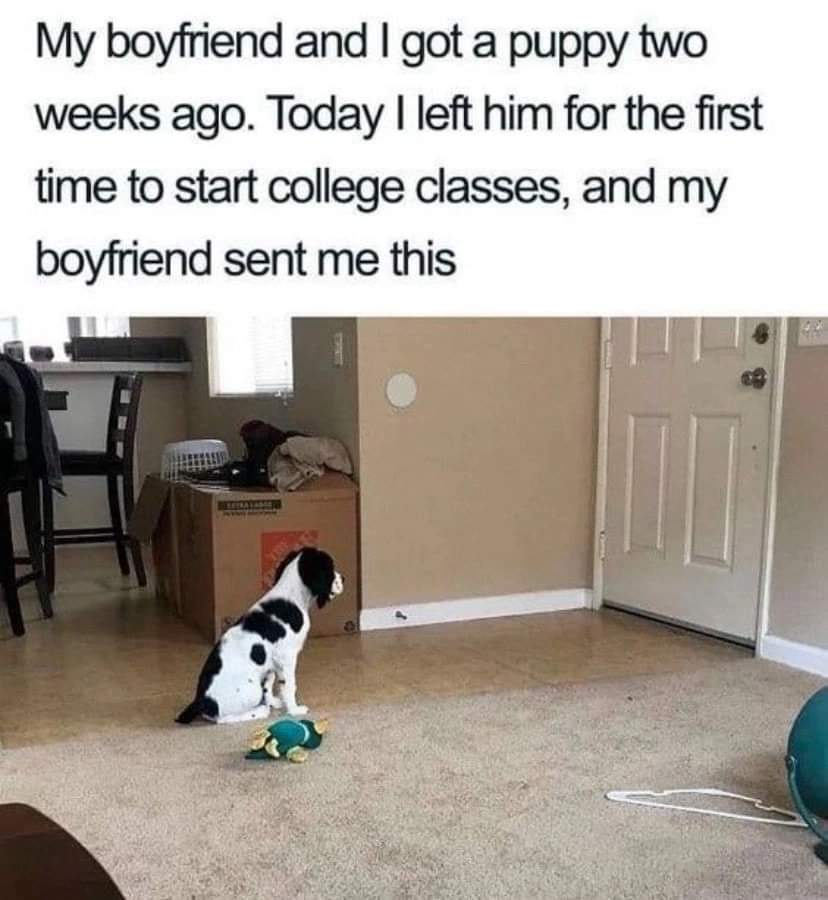 A Heartwarming Love Story Unfolds