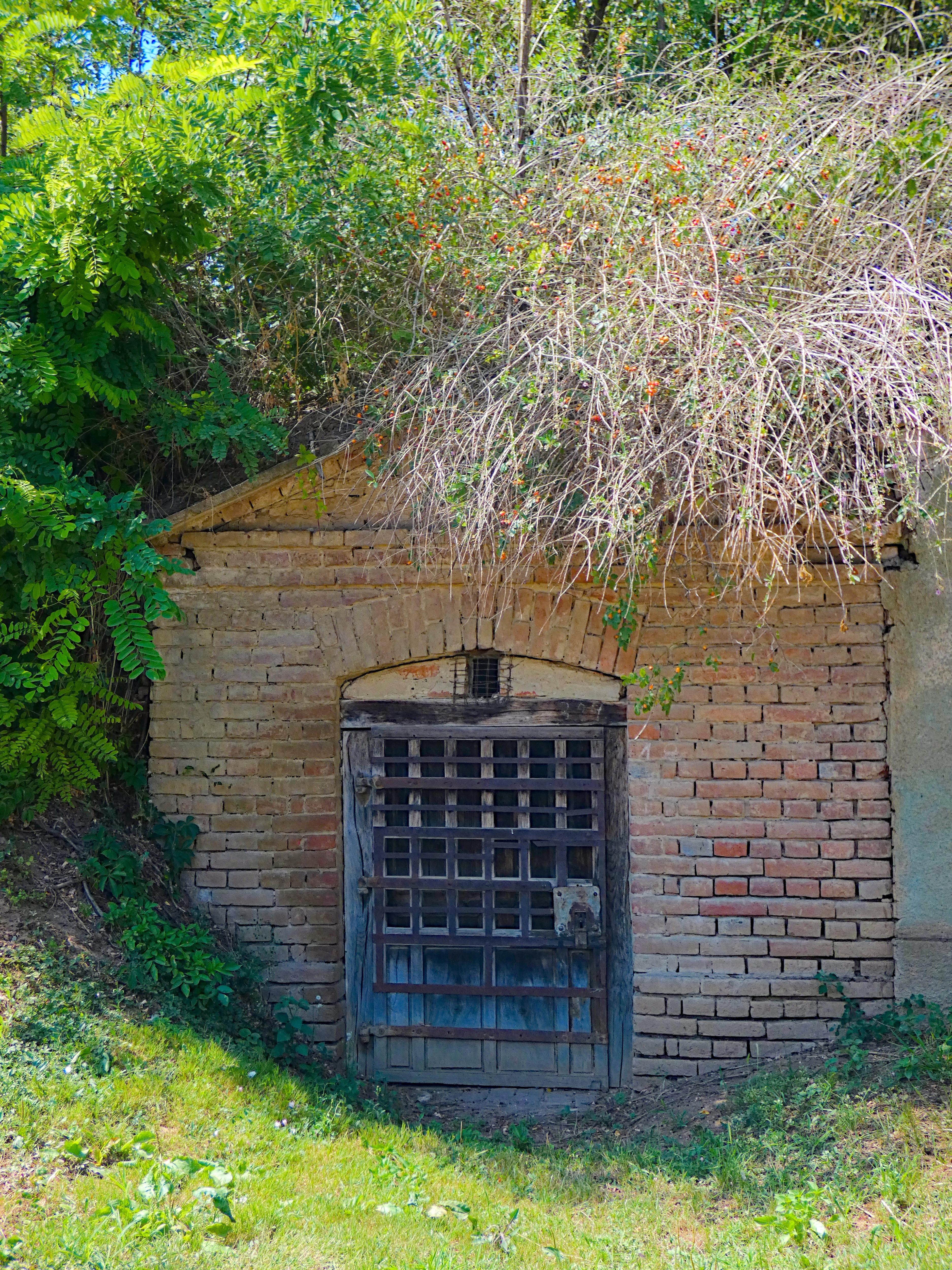 An Abandoned Brick Structure, Nature's Takeover Tells a Story of the Past