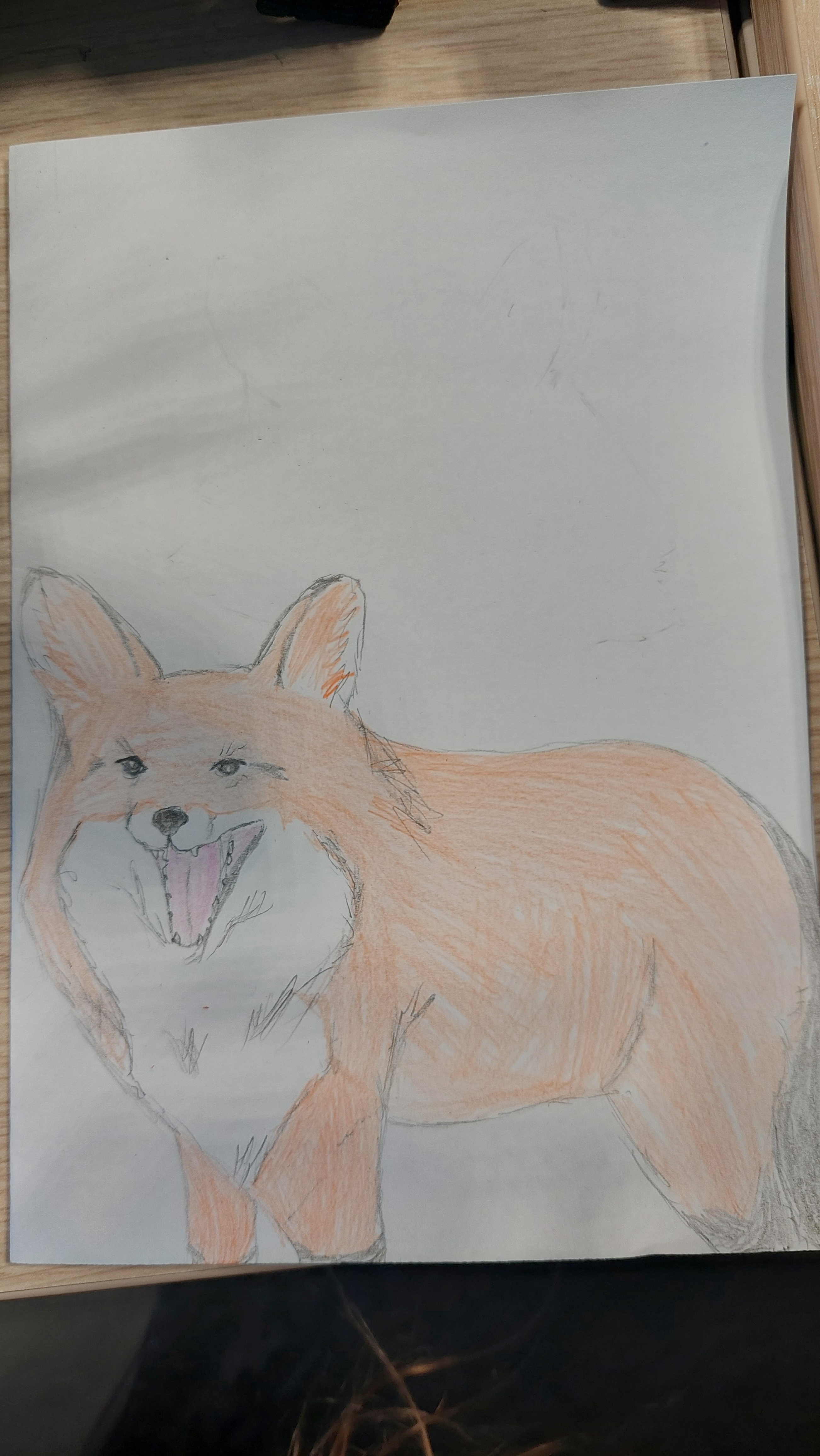 A Daily Dose of Joy: A Fox a Day Keeps the Blues Away (Day 4)