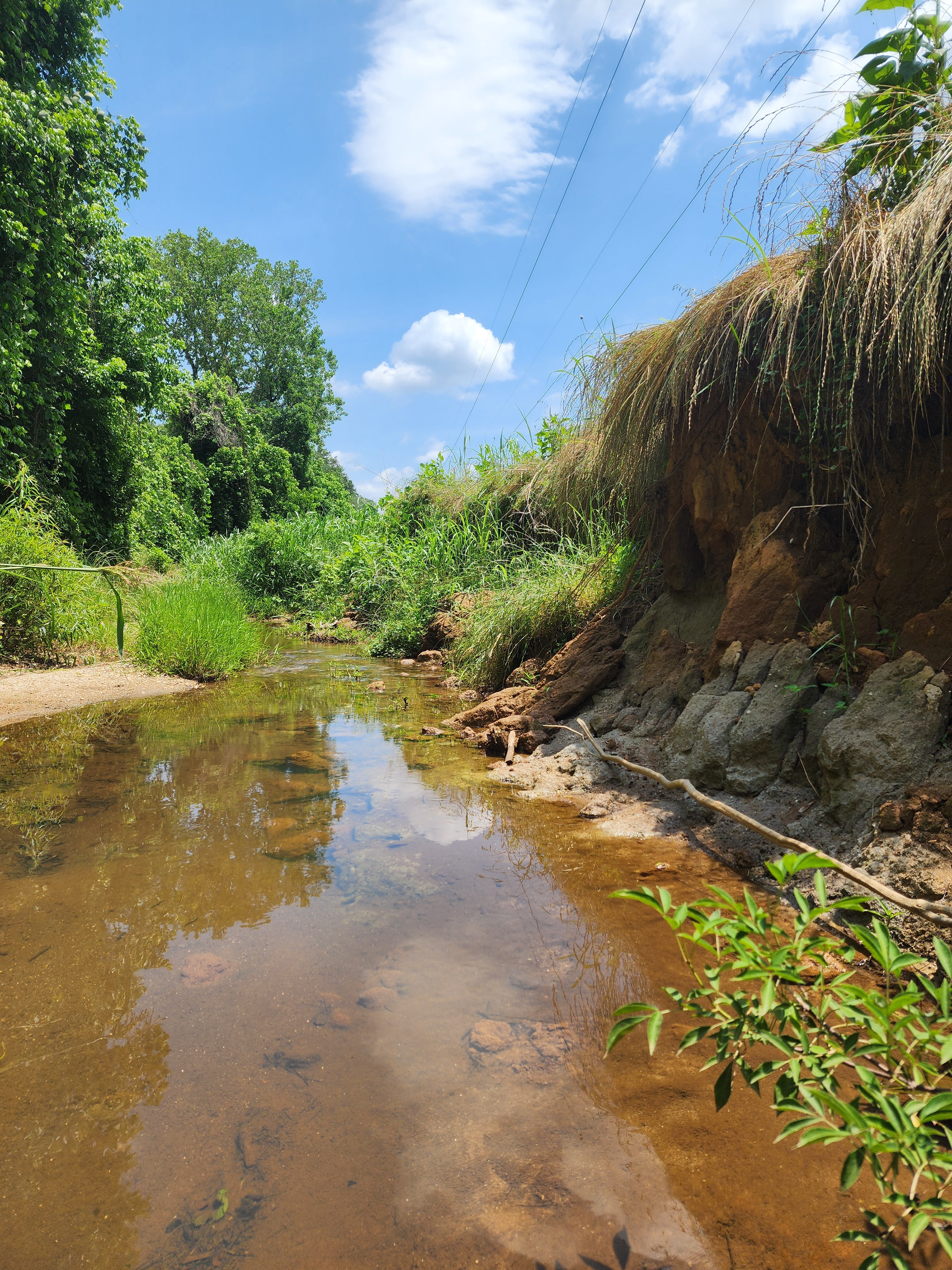 The Serenity of Gentle Creeks
