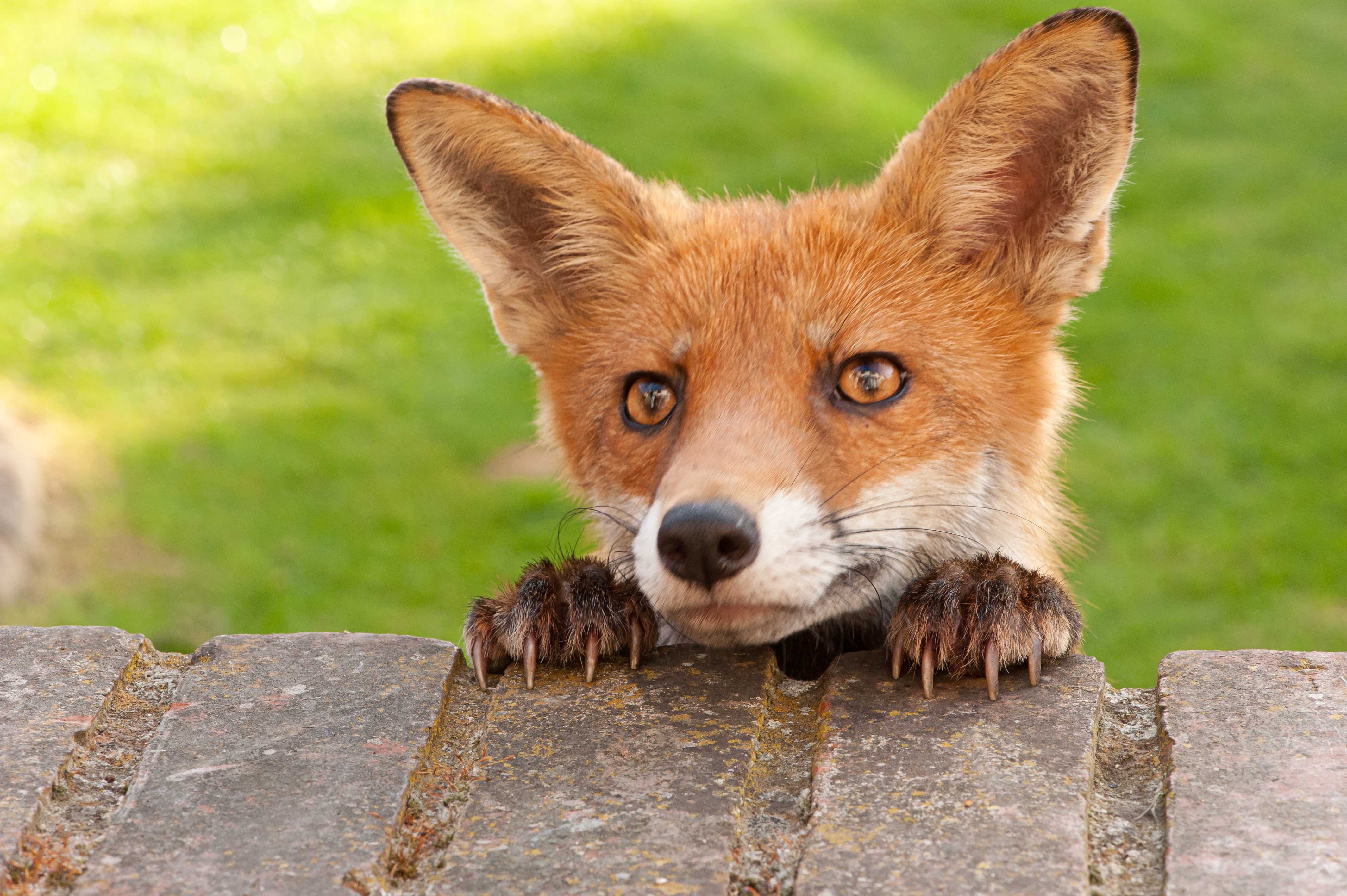 That moment when I spot your delicious breakfast post