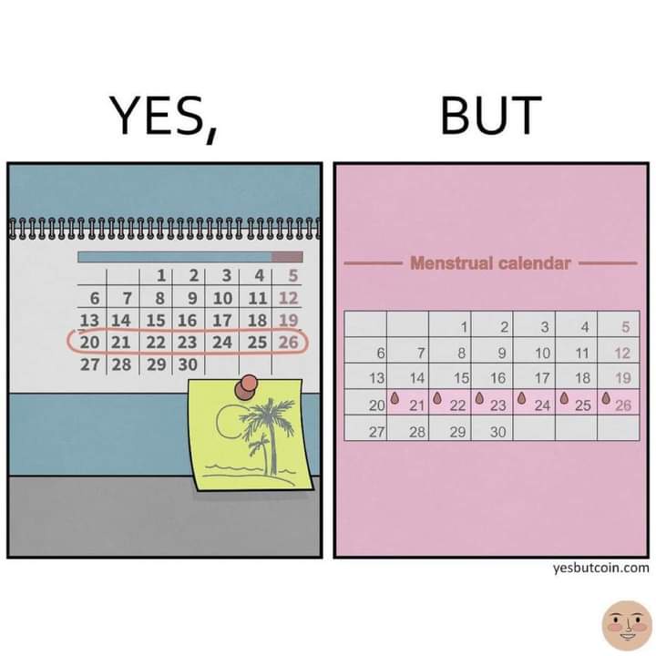 It Happens Every Single Time