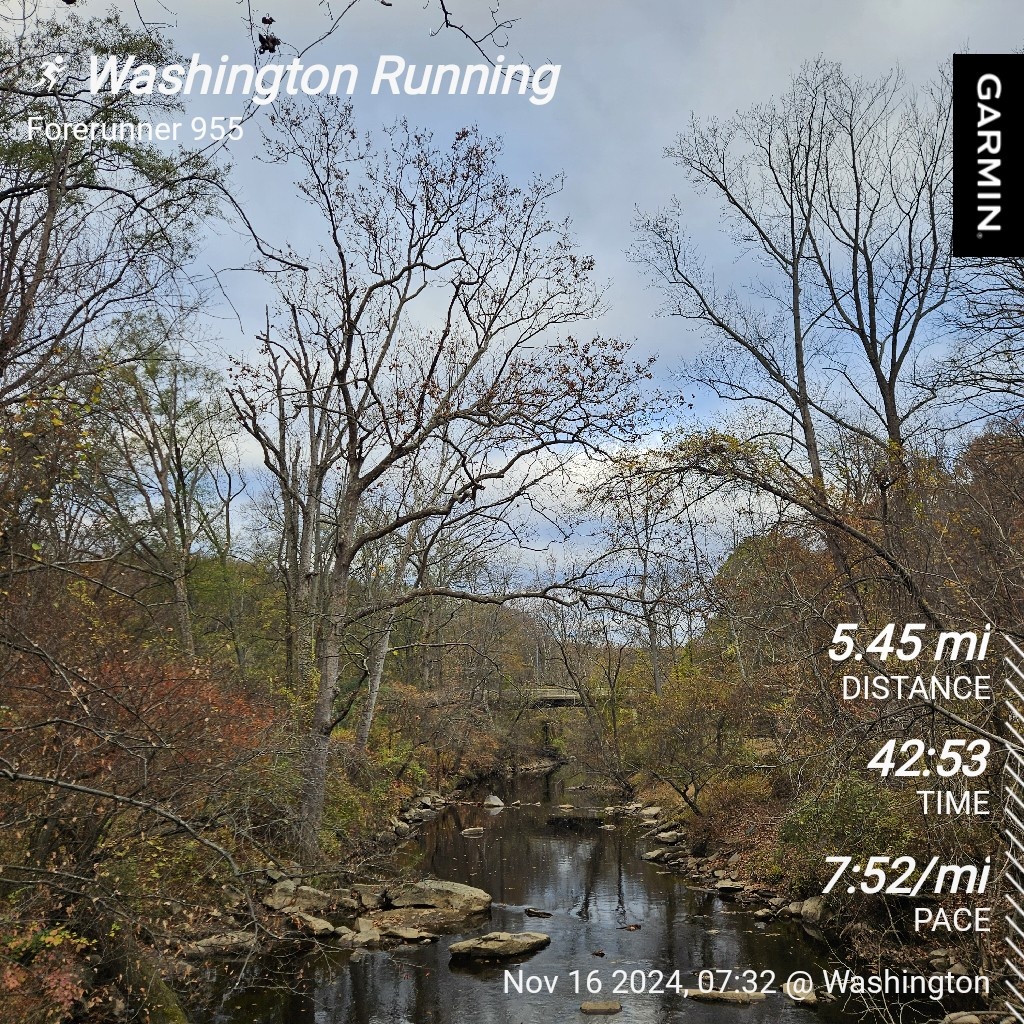Embrace the Daily Run Routine