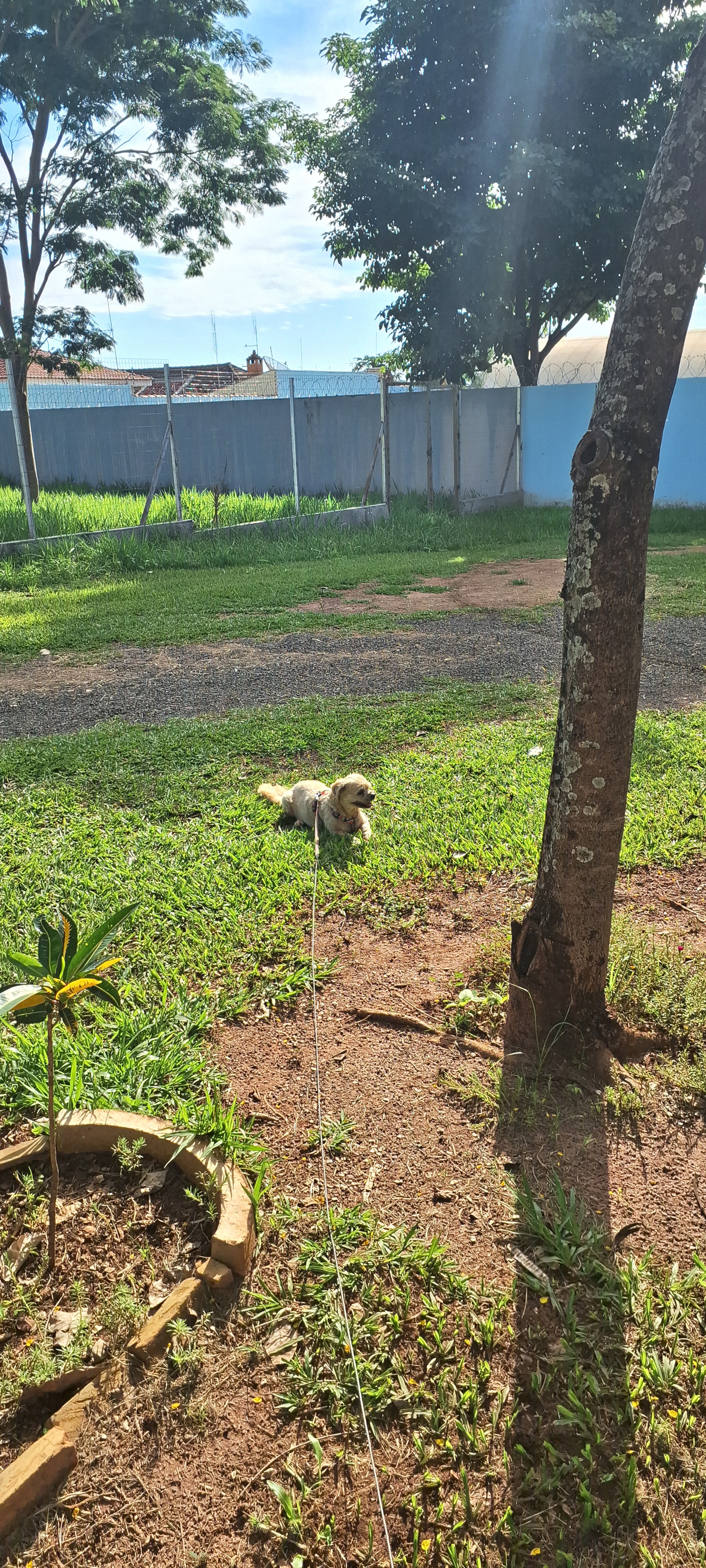Bilu na praça: A Familiar Scene Again