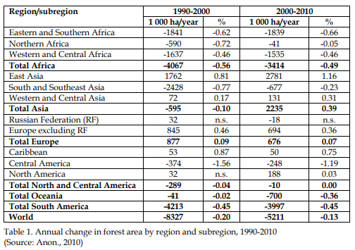 A Deep Dive into Deforestation: The Harsh Reality