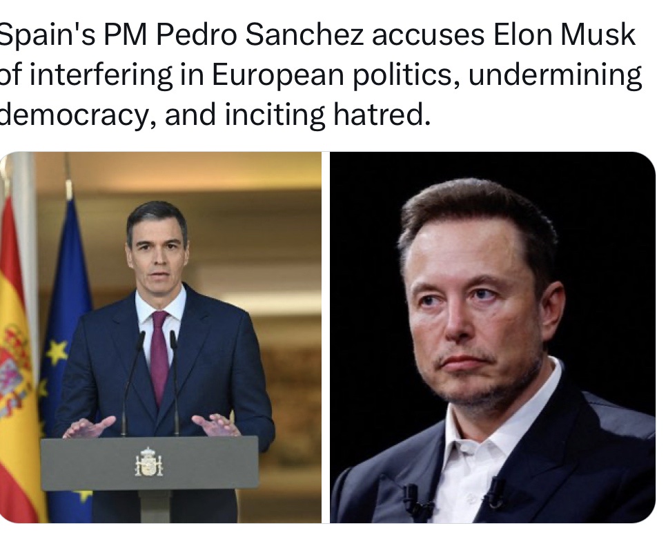 The One and Only Musk