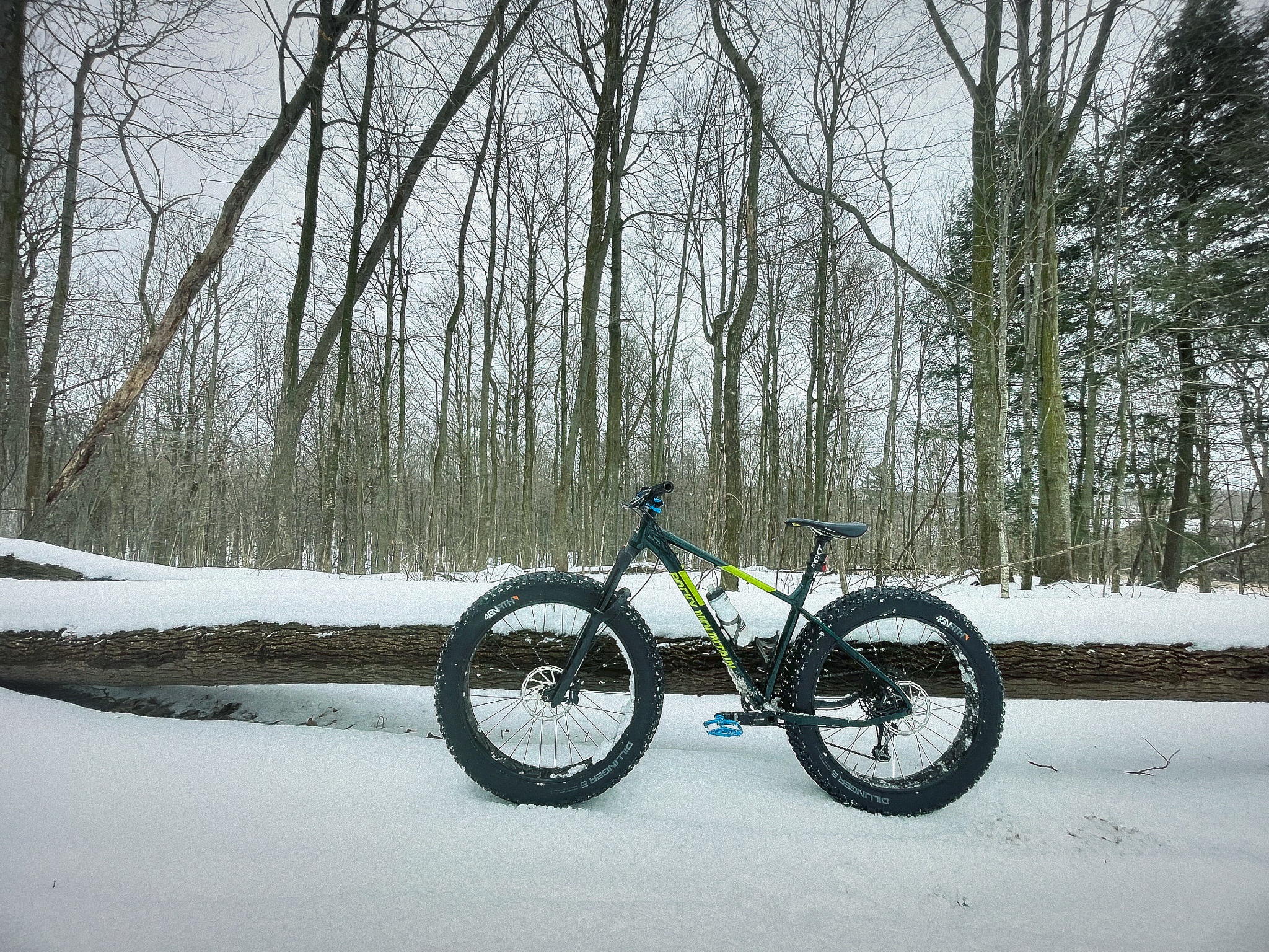 Exploring the Thrills of Fatbiking