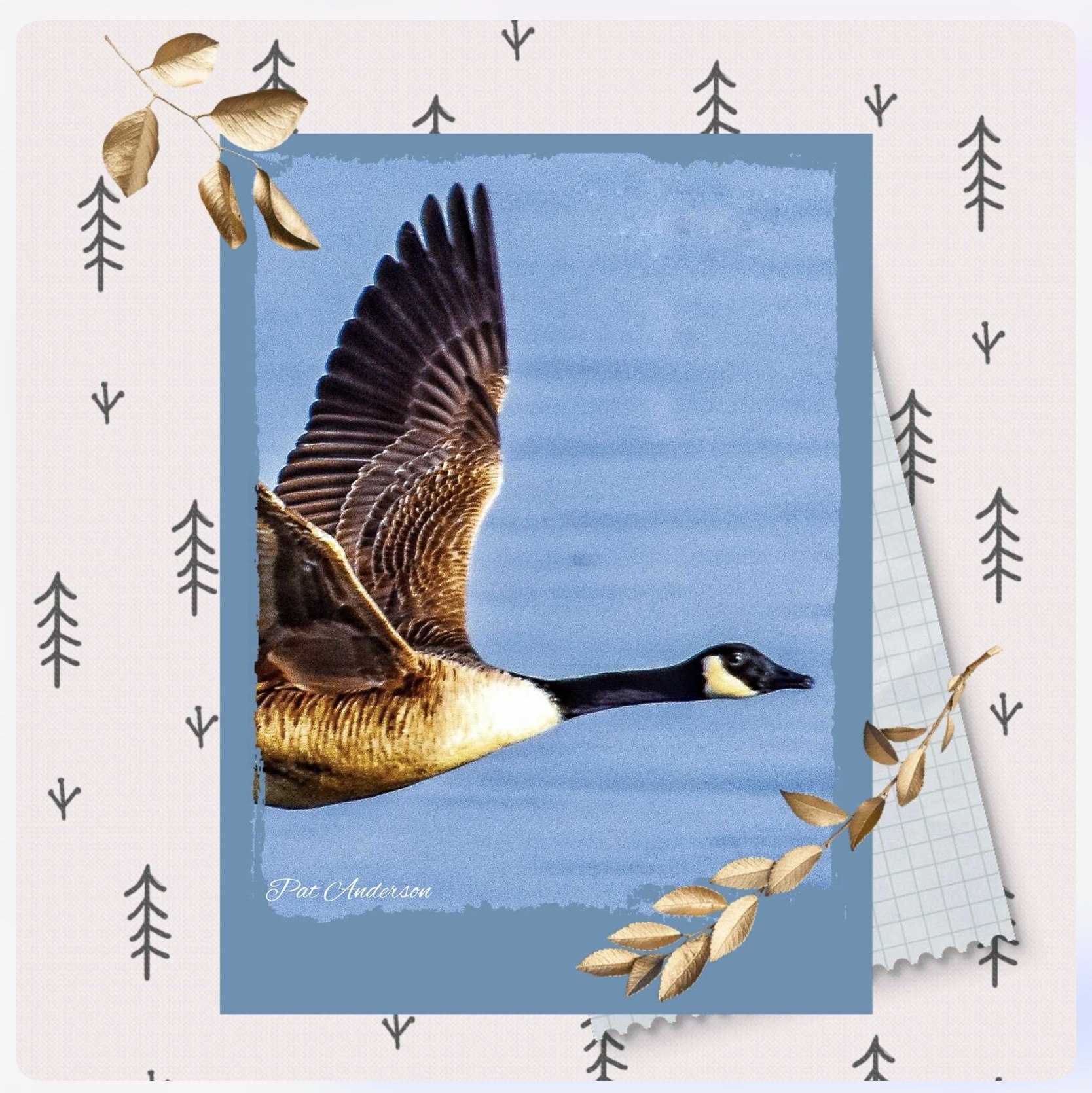 The Majestic Canadian Goose: Nature's Unruly Monarch