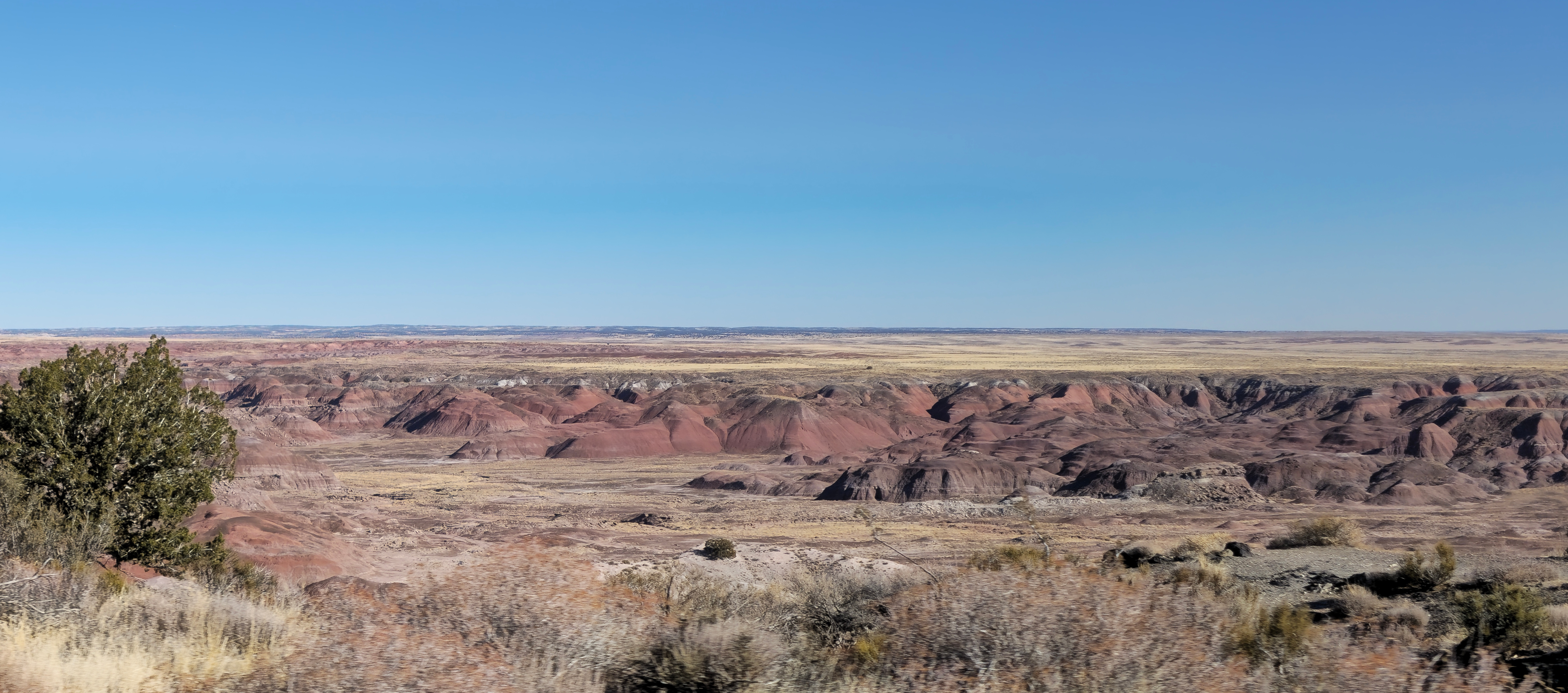 Breathtaking Views from the Road: Exploring Petrified Forest National Park, Arizona
