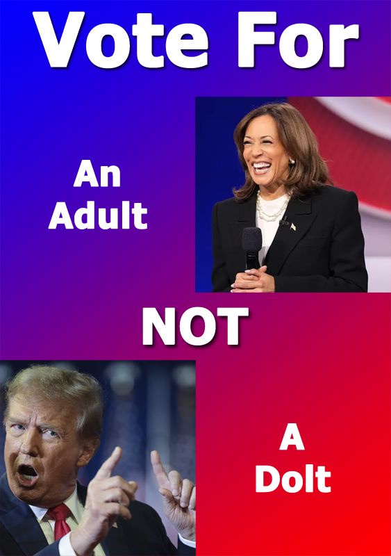 Cast Your Vote for the Grown-Up Candidate