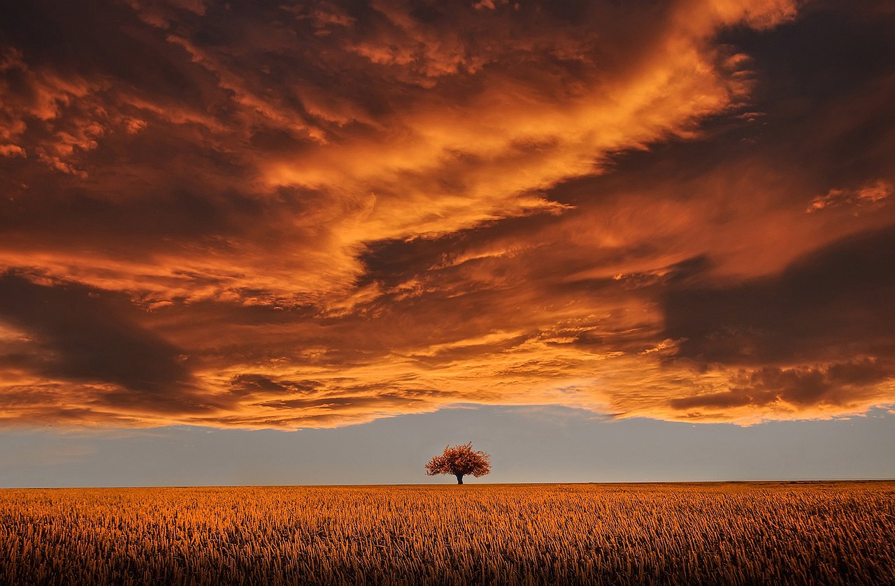 A breathtaking sunset that will leave you speechless
