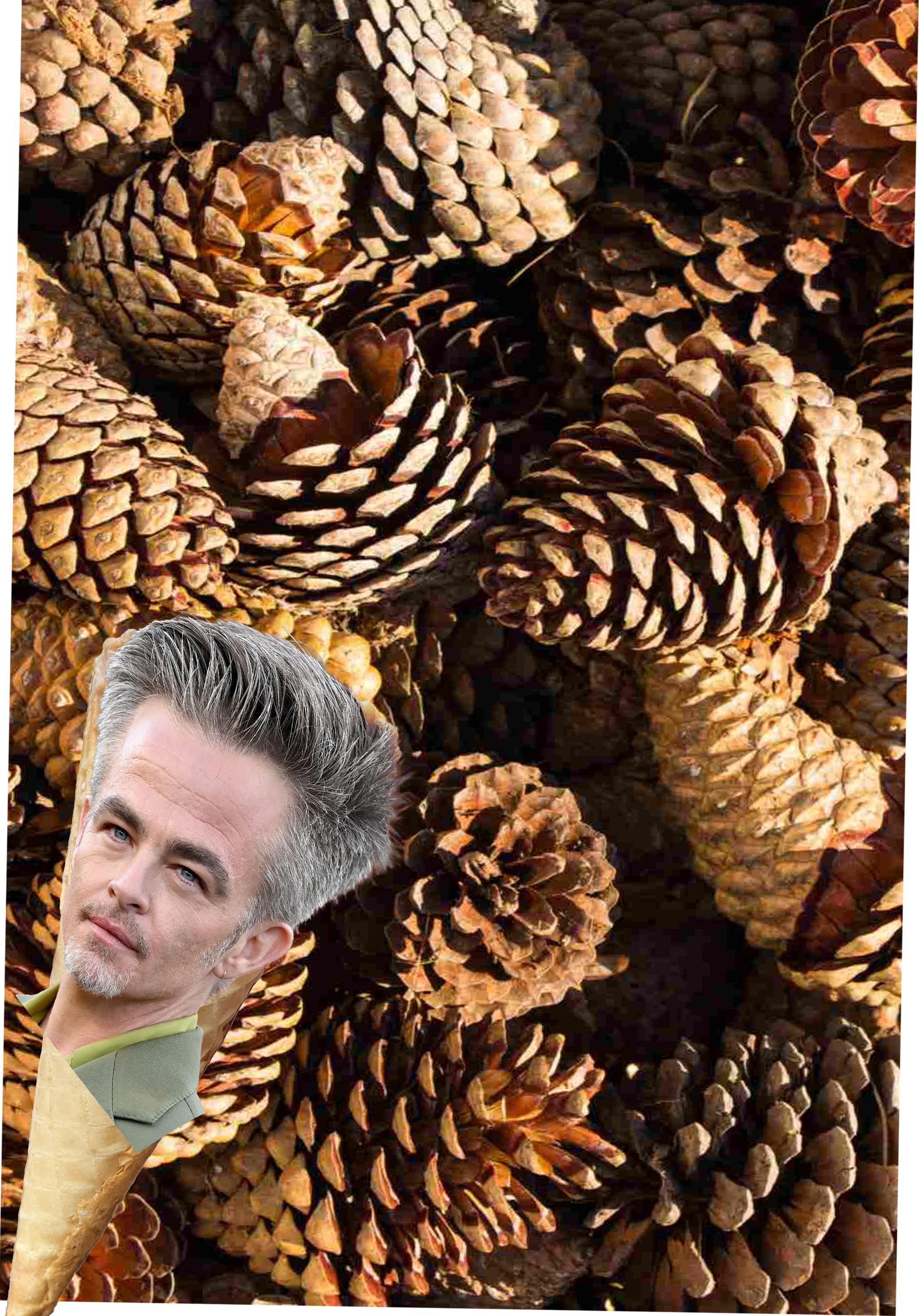 Longing for Your Cones of Dunshire