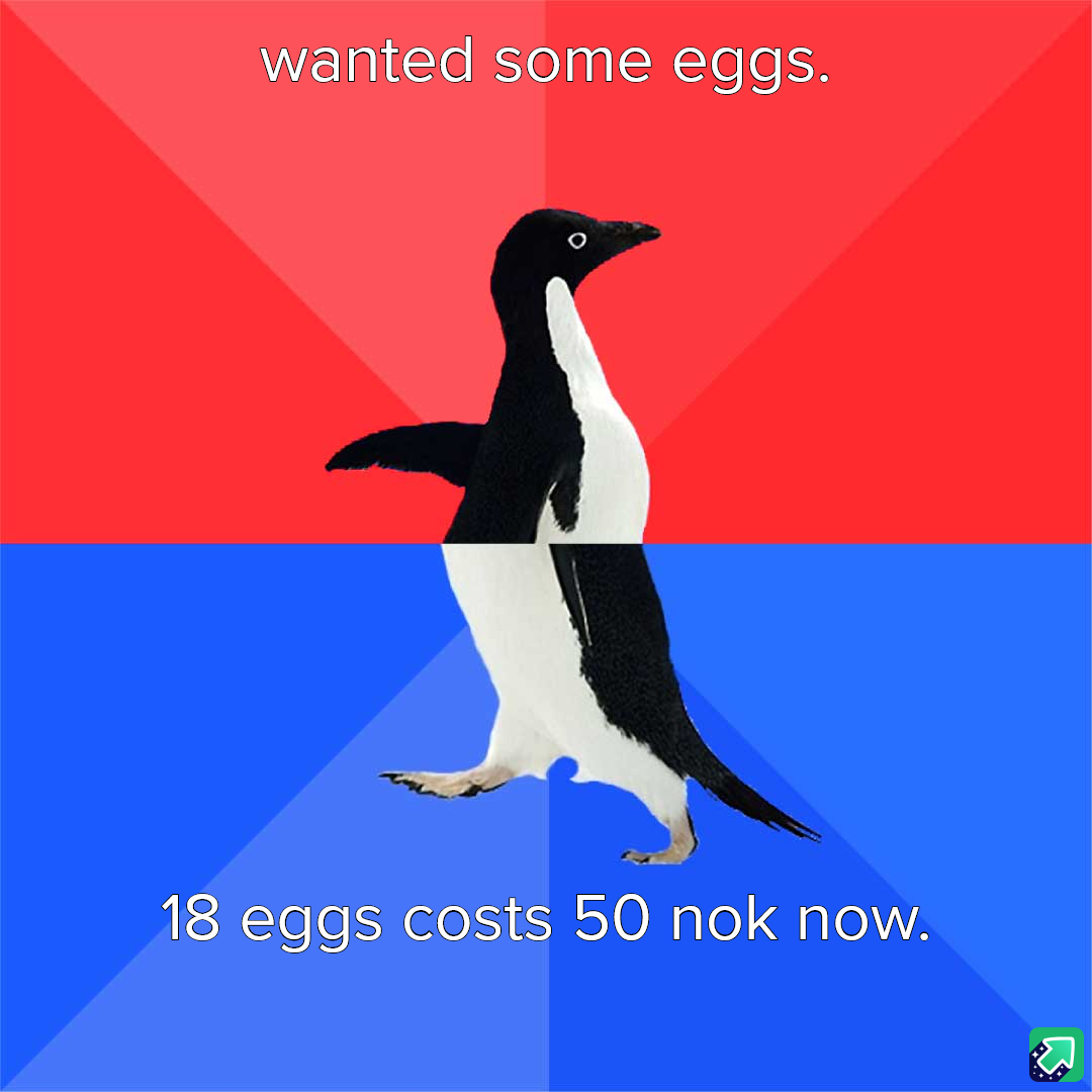 It's Been Ages Since I Last Bought Eggs, I Guess!