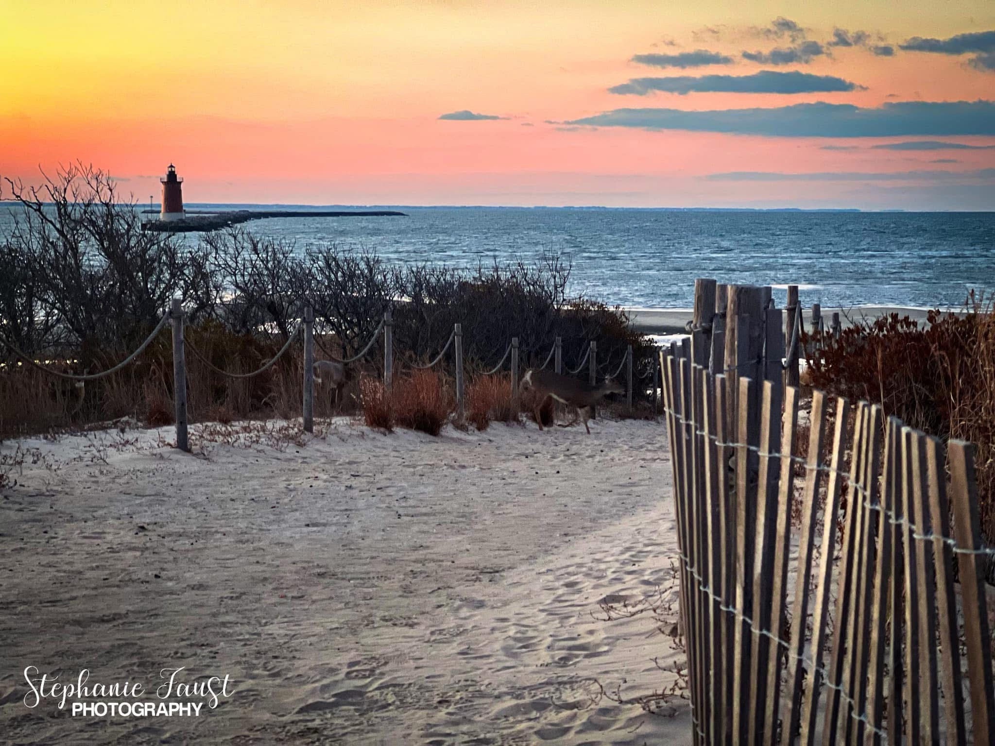 Discover the Charm of the East End Lighthouse