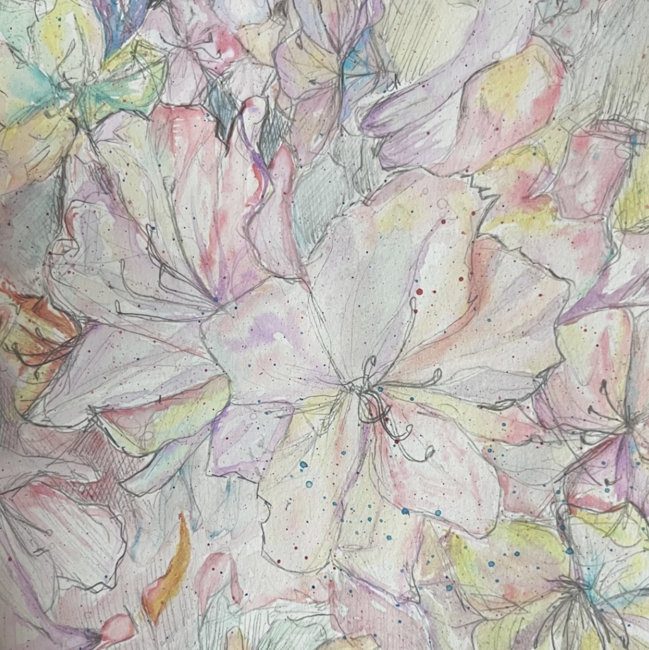 Exploring the Beauty of Watercolor and Graphite Art