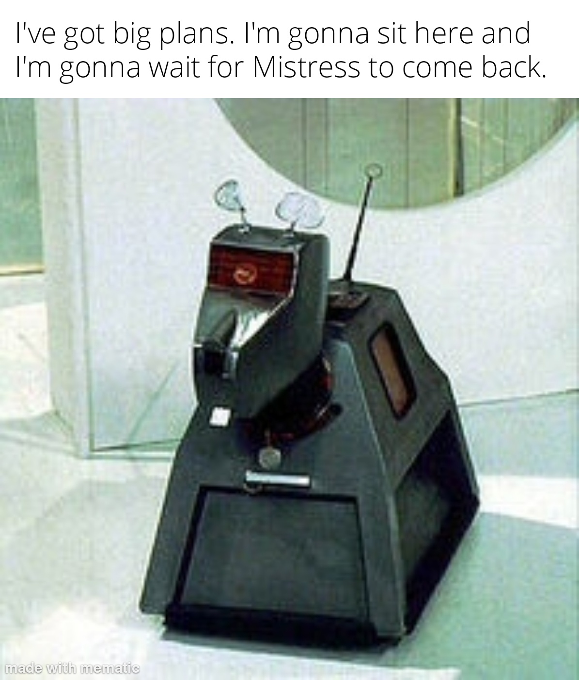 Big Plans Ahead: Waiting for Mistress to Return
