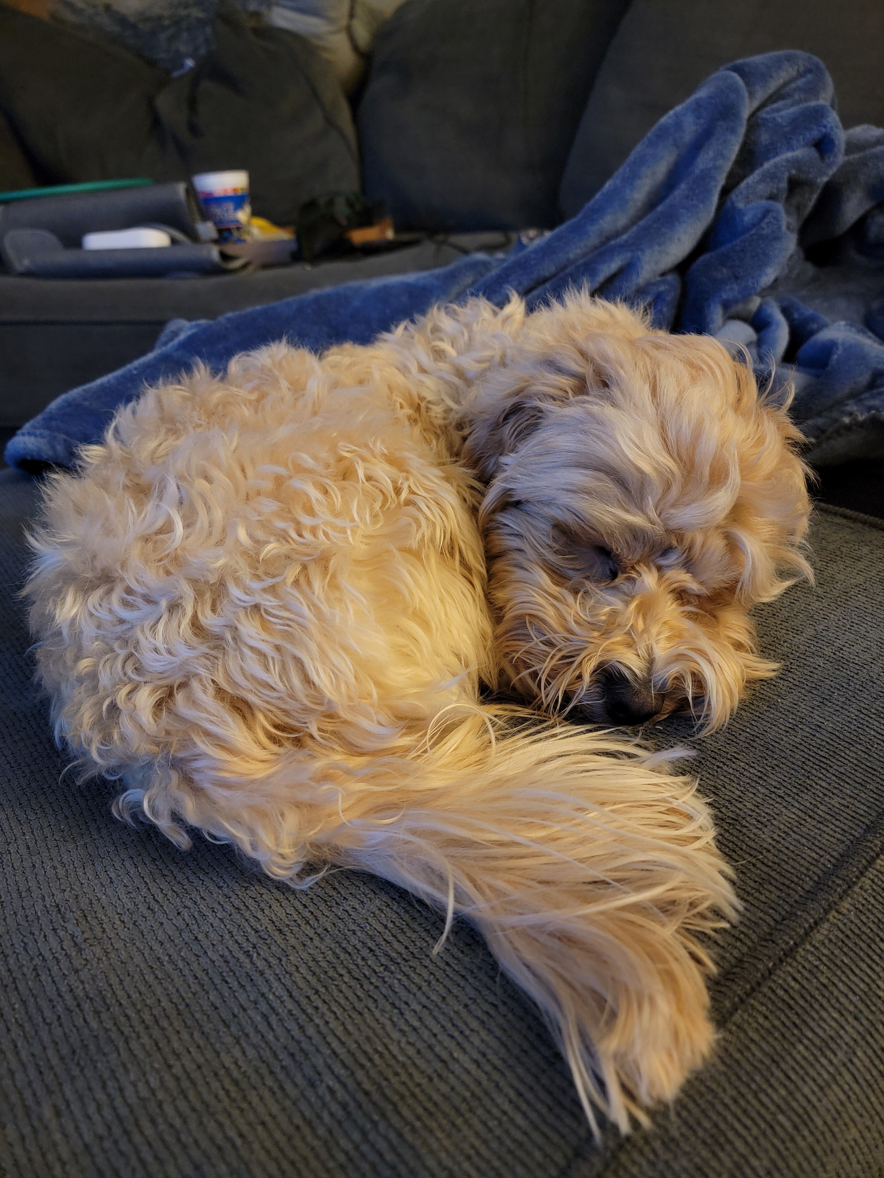 Time for a Well-Deserved Nap