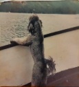 Fritzy enjoying a boat ride in Alaska during the 1970s.