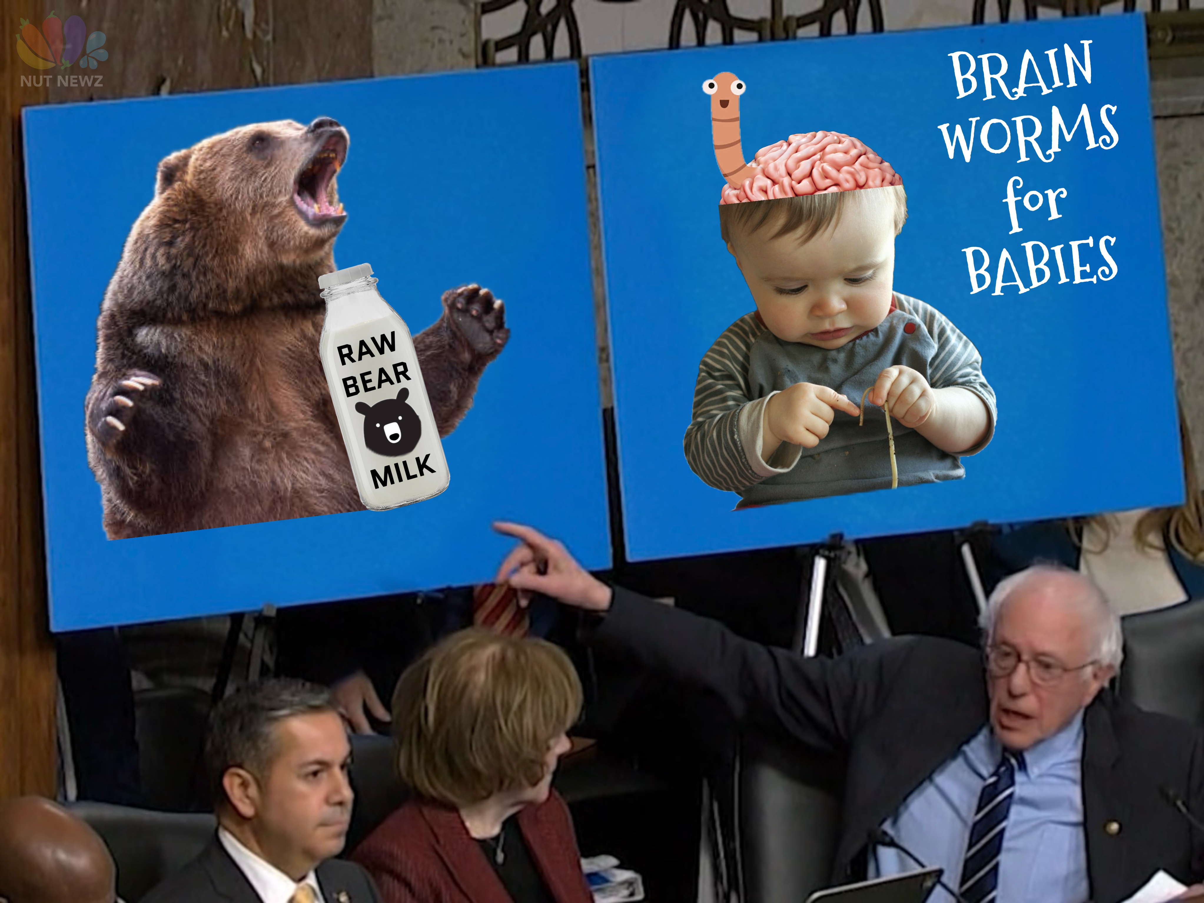 Bernie Sanders Debunks the Myths of Brain Worms and Bear Milk