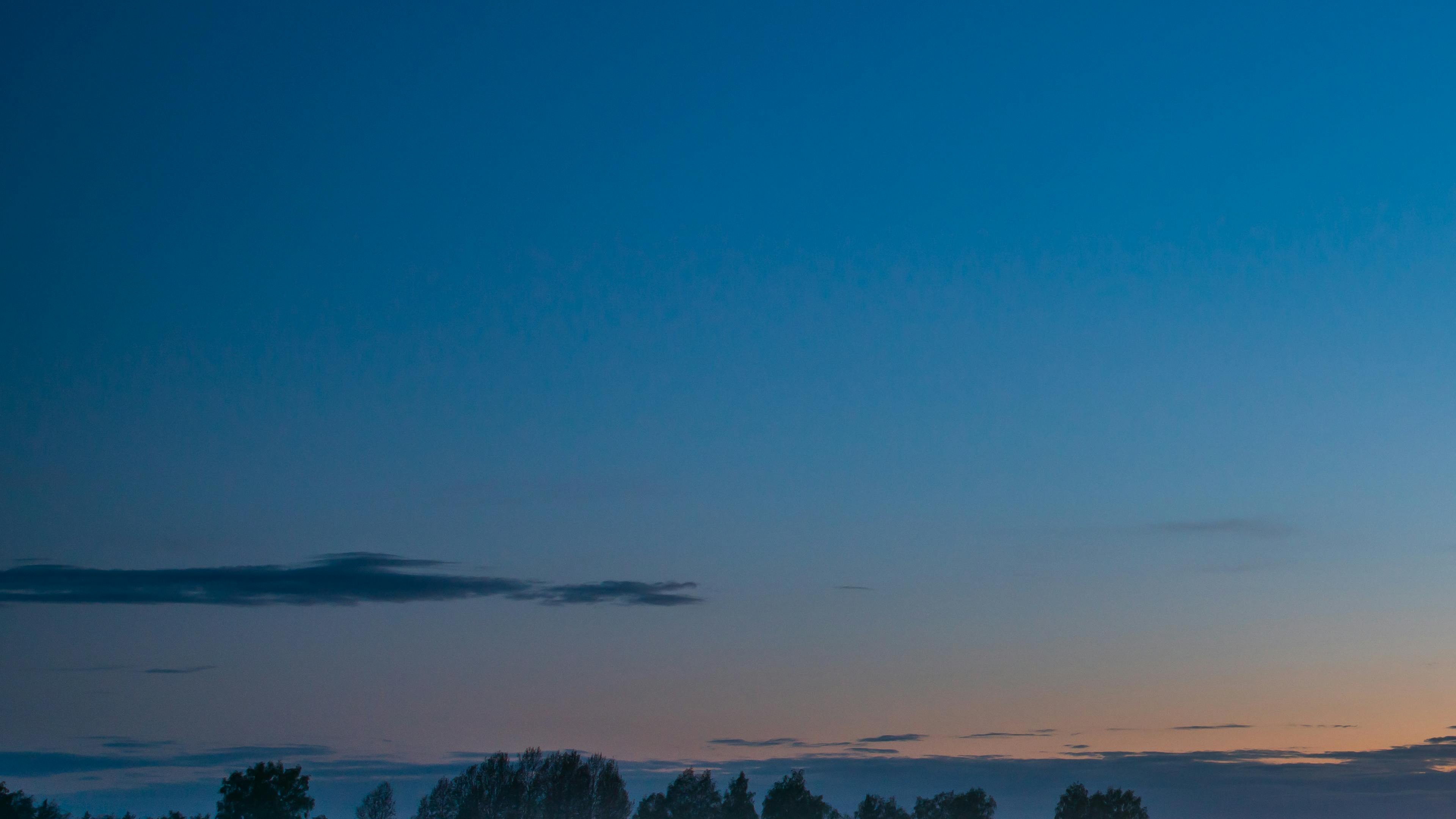 A Serene Twilight in the Moonlit Meadow