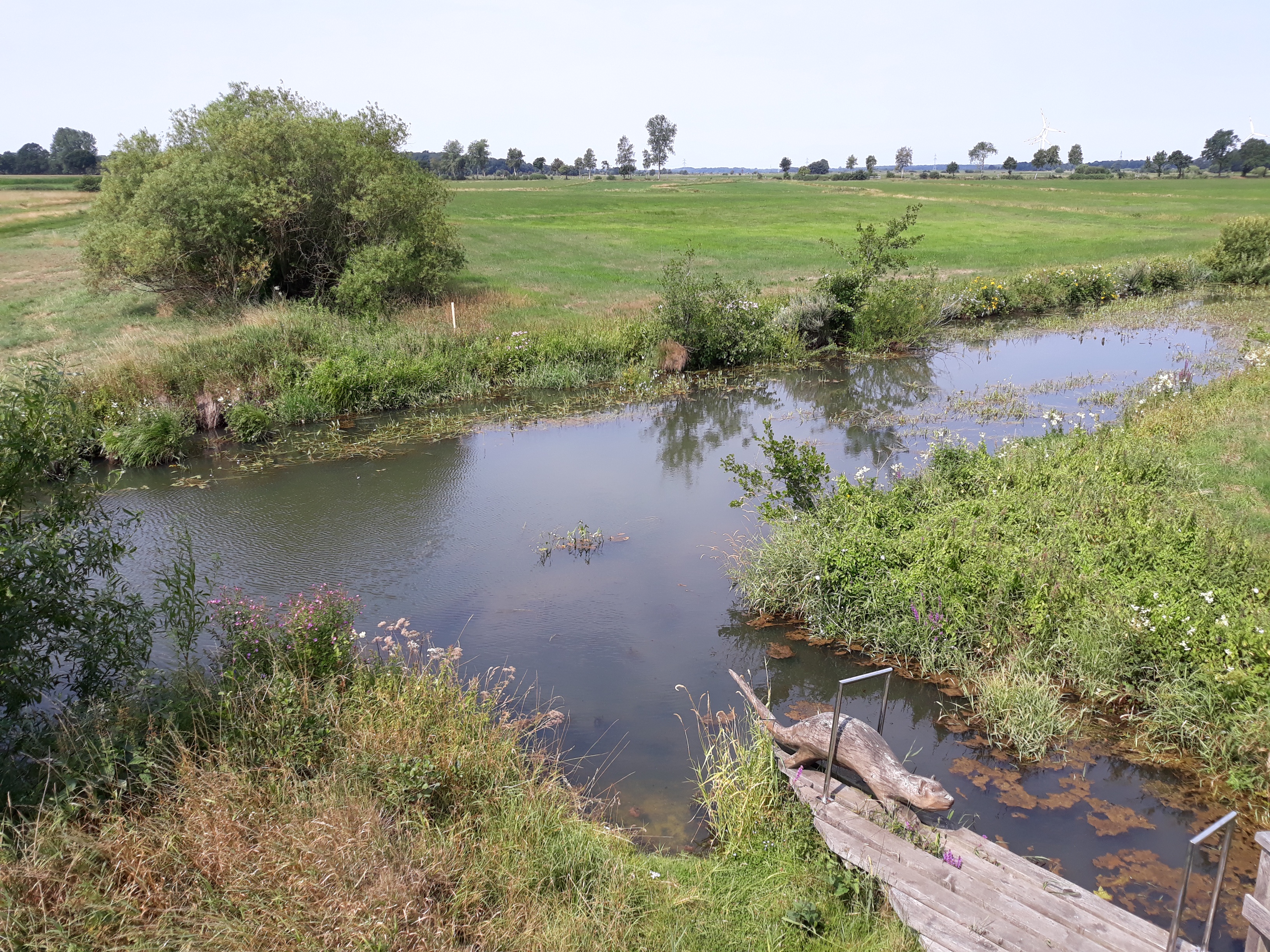 Exploring the Otter Biotope in Lunested, Germany