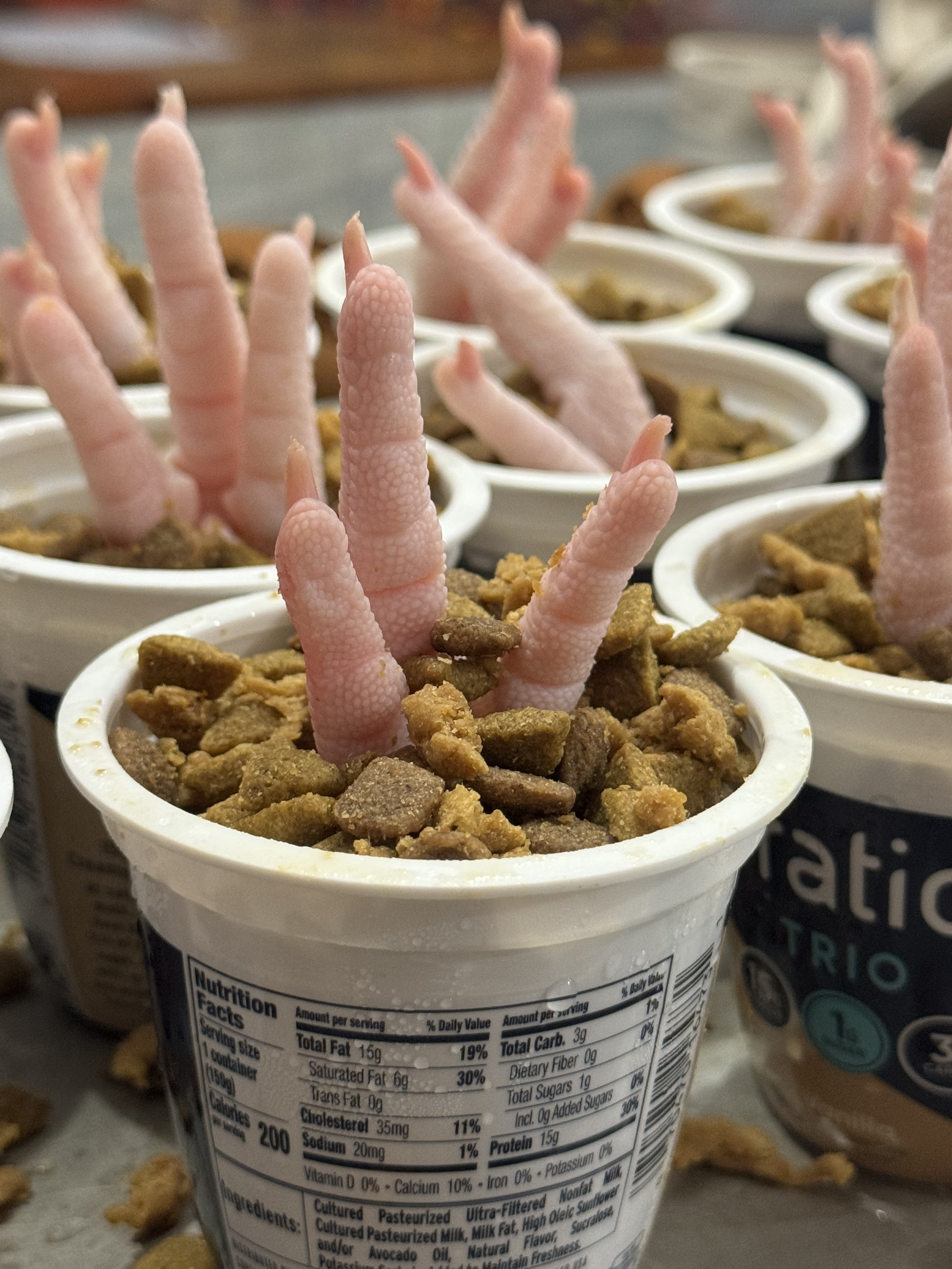 Spooktacular Chicken Feet Treats for Our Foster Dogs This Halloween