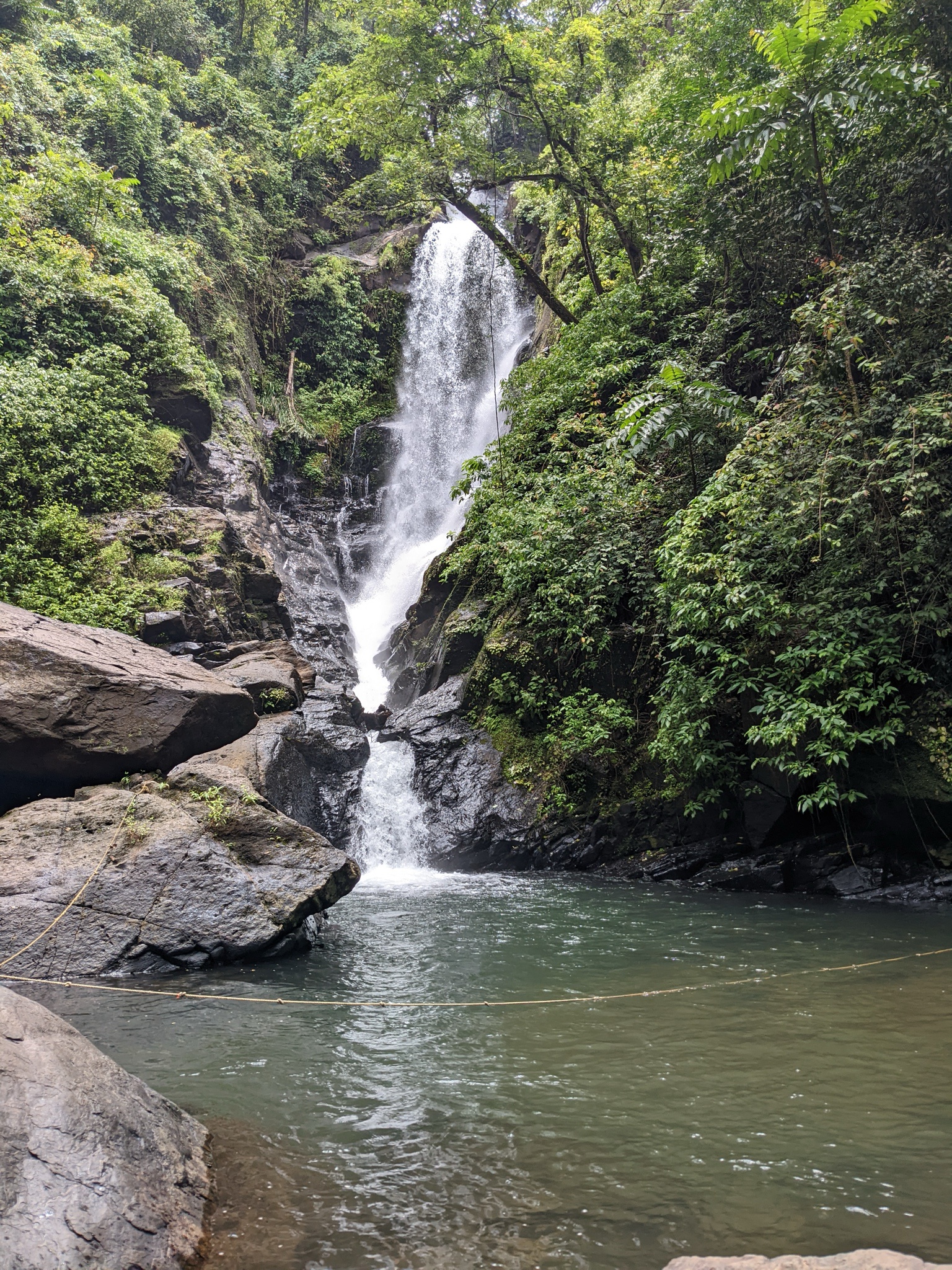 Check out this beautiful fall in Goa!