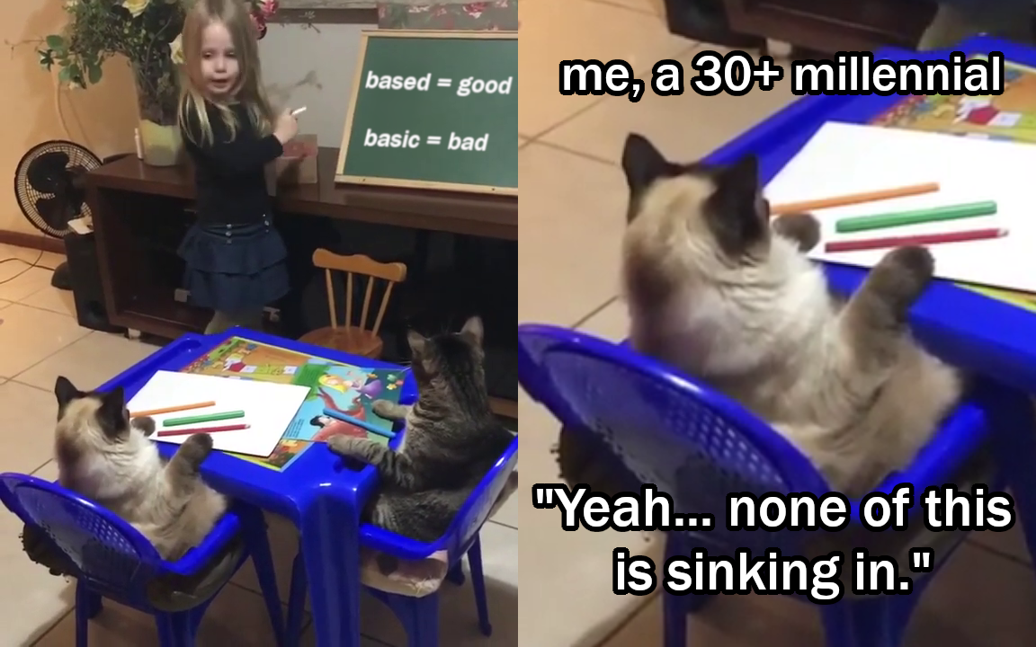 I'm Doing My Best, But Age is Catching Up!