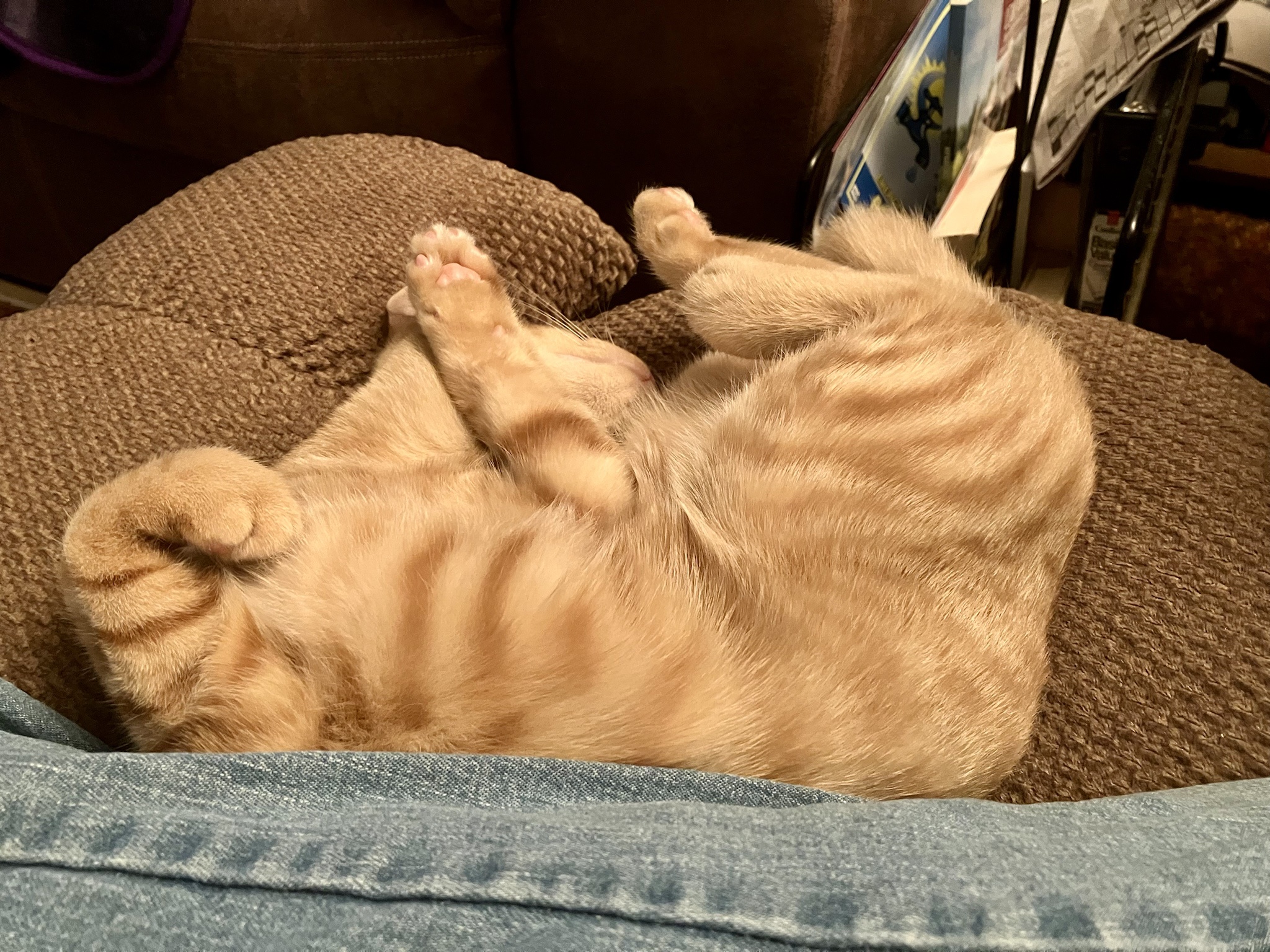 Struggling to Locate His Head
