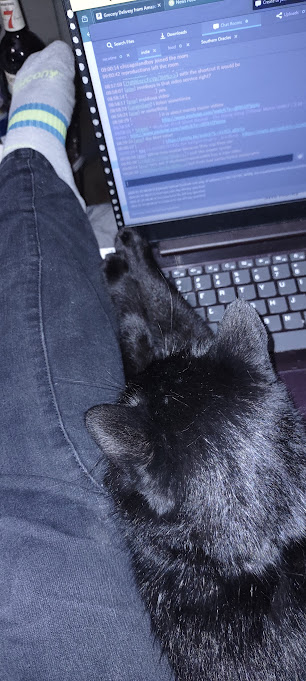 Introducing the Catputer: The Purrfect Tech Companion