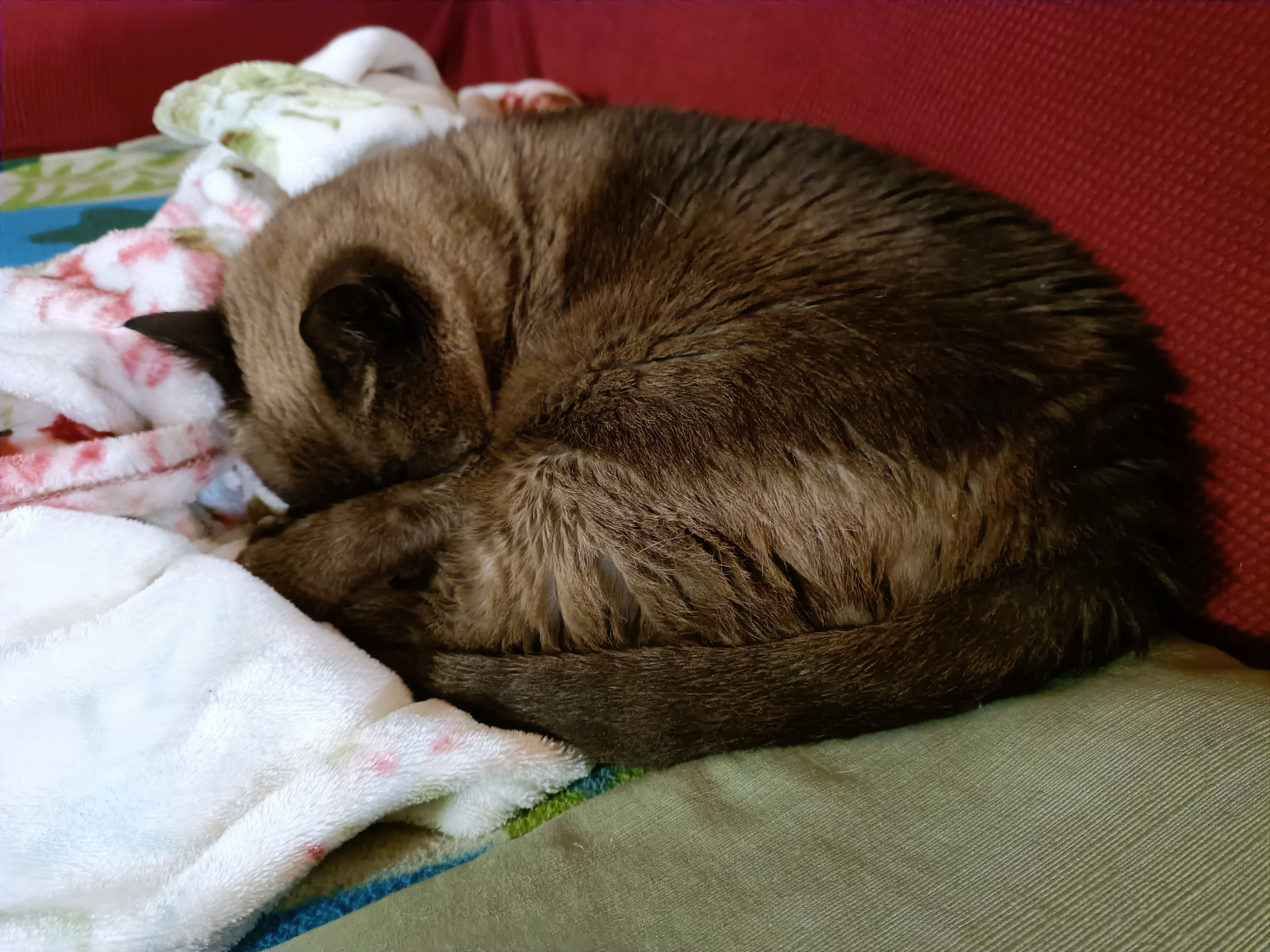 Just look at how adorable he is!