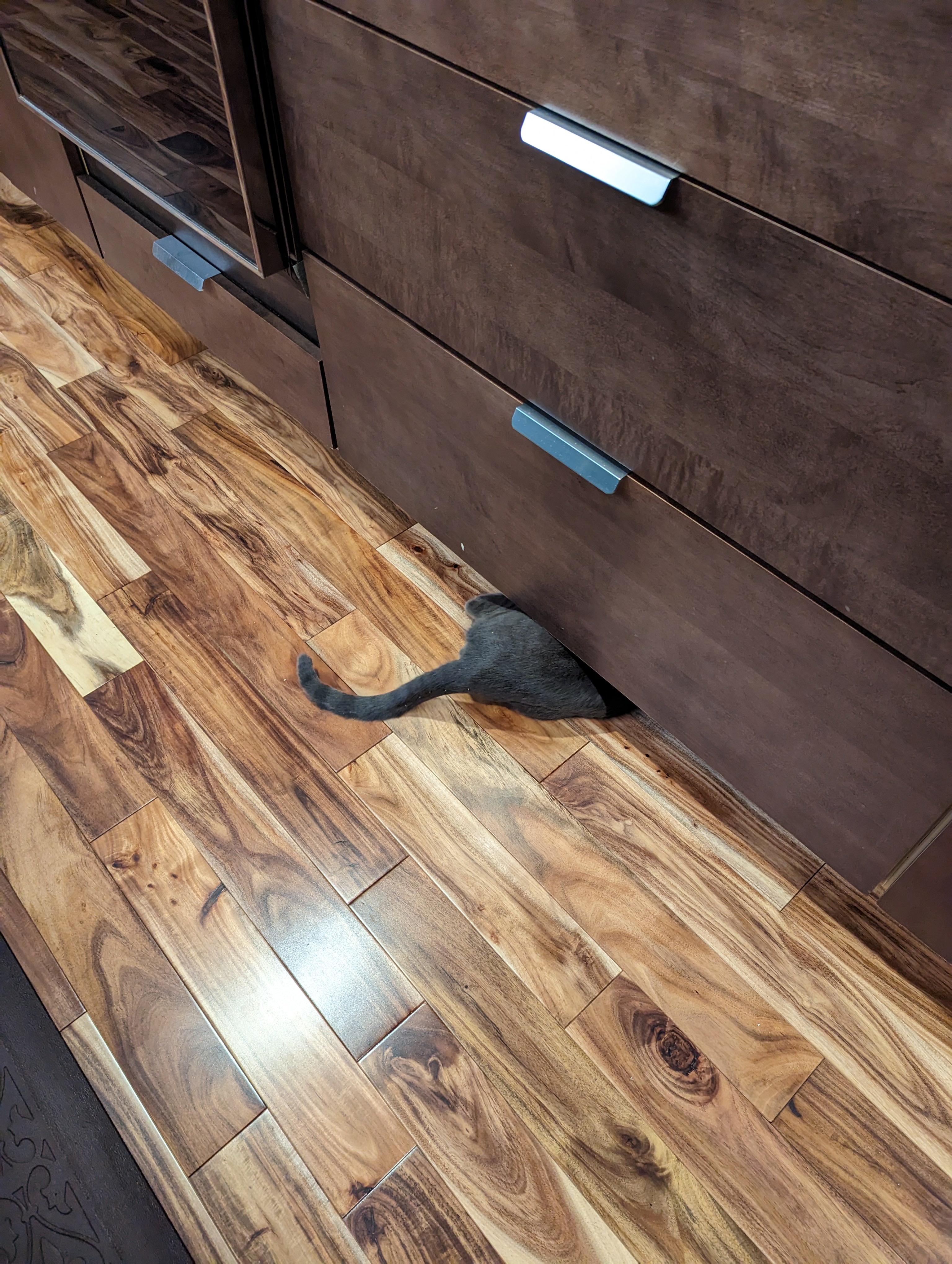 Exploring the Beauty of Acacia Wood