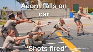 Let’s face it, there are no truly 'good' acorns.