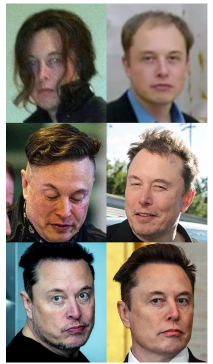 The #RenditionMusk Saga Unfolds