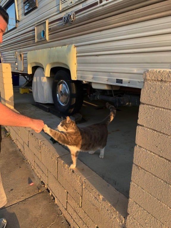The Perfect Fist Bump Moment